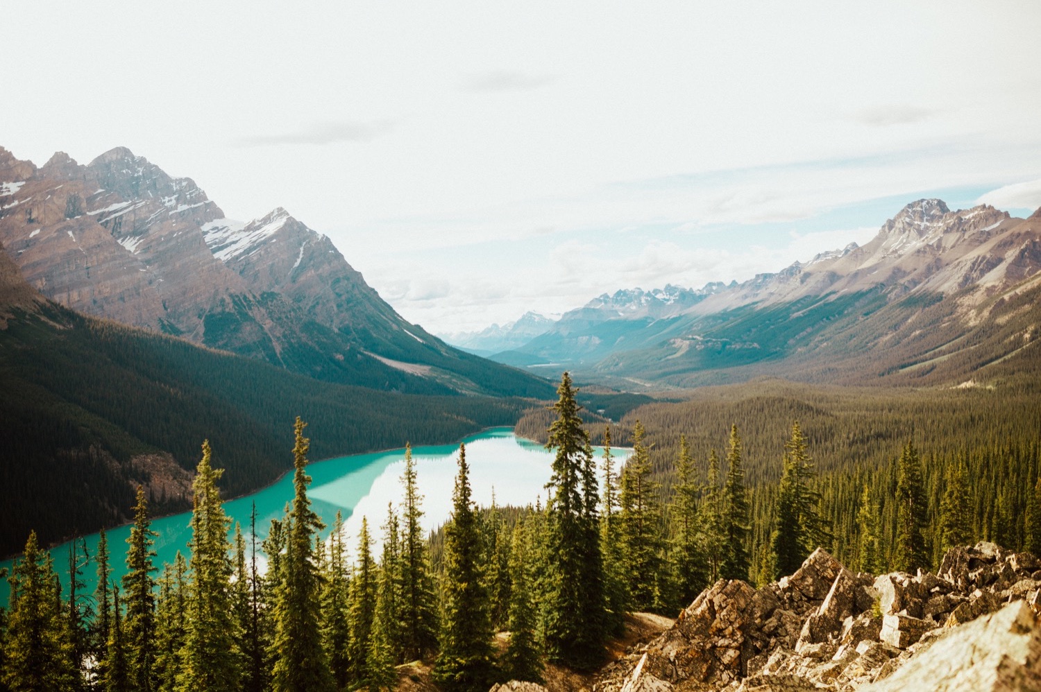 Banff Engagement photos, Engagement photos at Moraine Lake in Banff National Park, Banff National Park Engagement photos, Engagement photos in Banff, Banff Engagement photos, Engagement photos at Moraine Lake, Engagement photos at Peyto Lake, Moraine Lake Engagement photos, Banff Wedding photographer, Peyto Lake Engagement photos, Engagement photos at Peyto Lake in Banff National Park